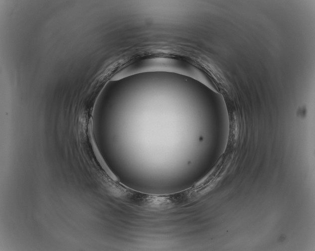 X0000091460333200708161527
