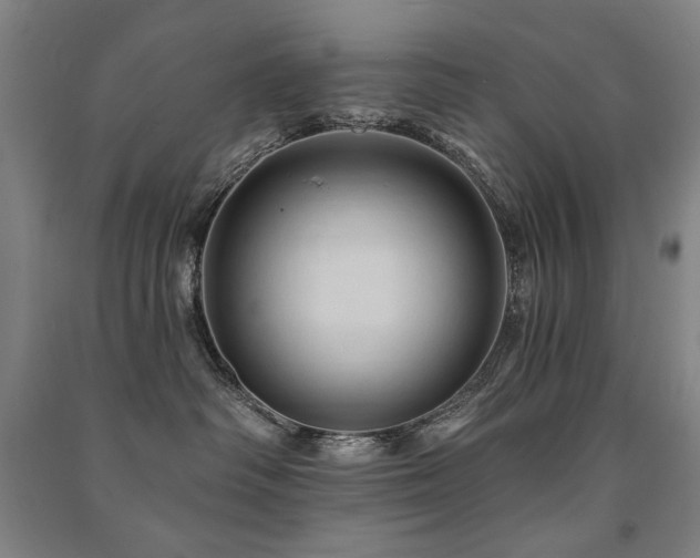 X0000091460334200708161527