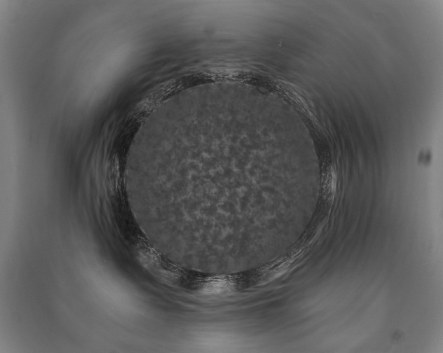 X0000091460335200708161527