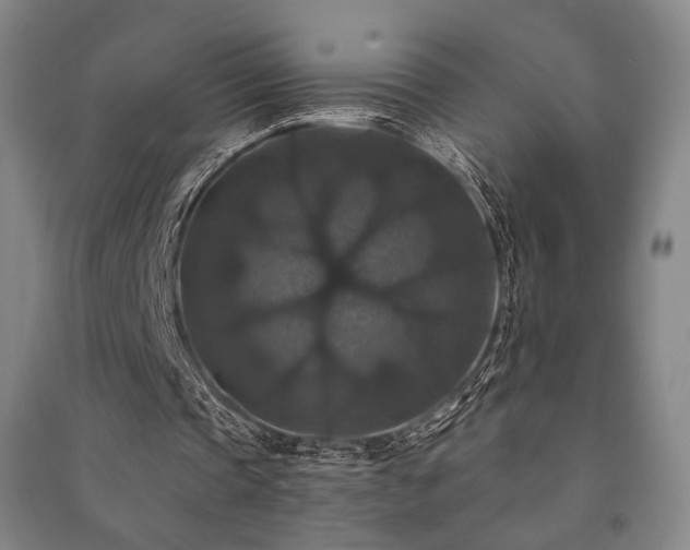 X0000091460337200708161526