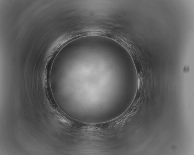 X0000091460339200708161526