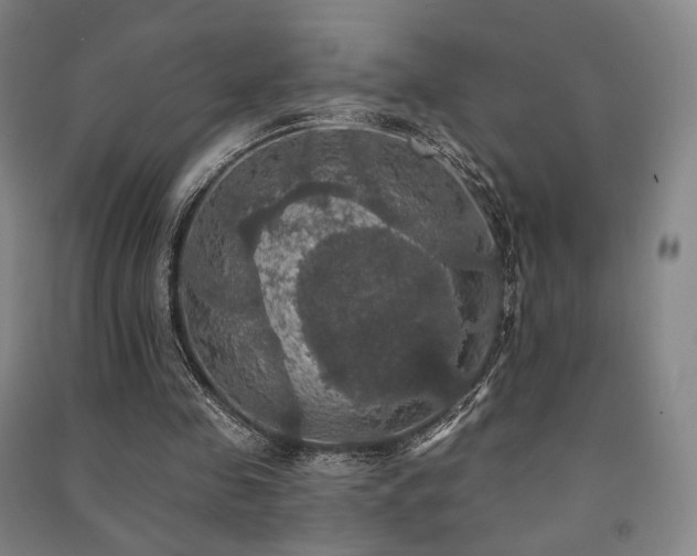 X0000091460341200708161526