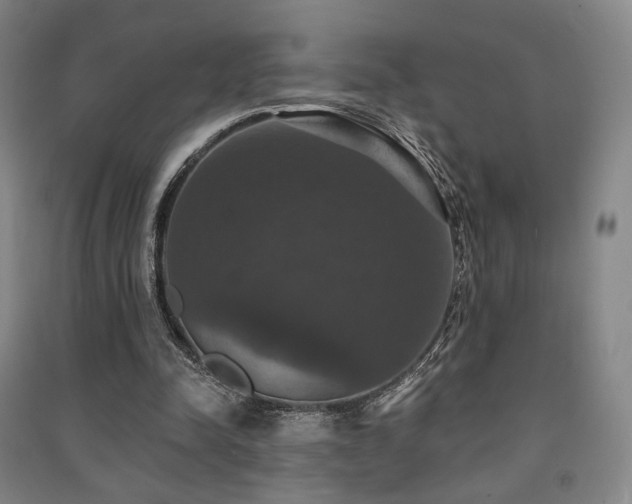 X0000091460342200708161526