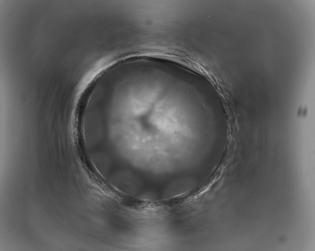 X0000091460343200708161527