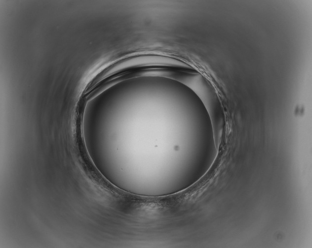 X0000091460344200708161527