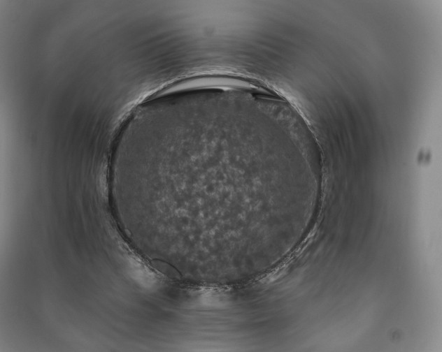 X0000091460345200708161527