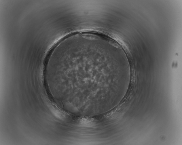X0000091460346200708161527