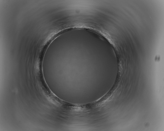 X0000091460347200708161527