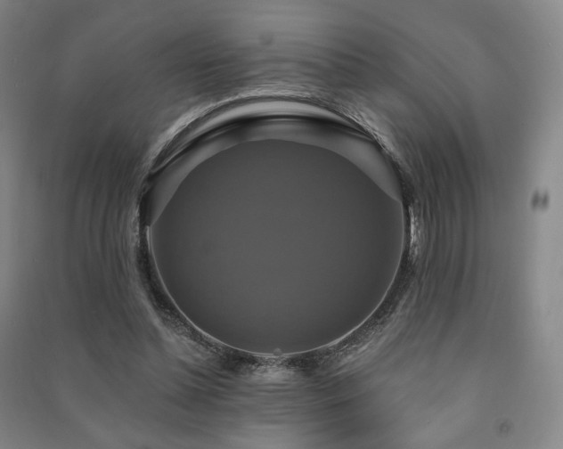 X0000091460348200708161527