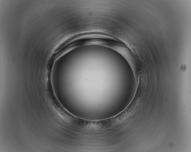 X0000091460350200708161527