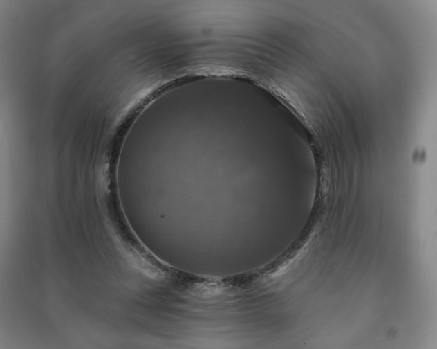 X0000091460351200708161527