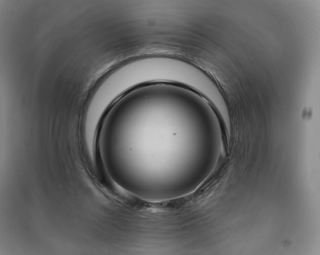X0000091460352200708161527