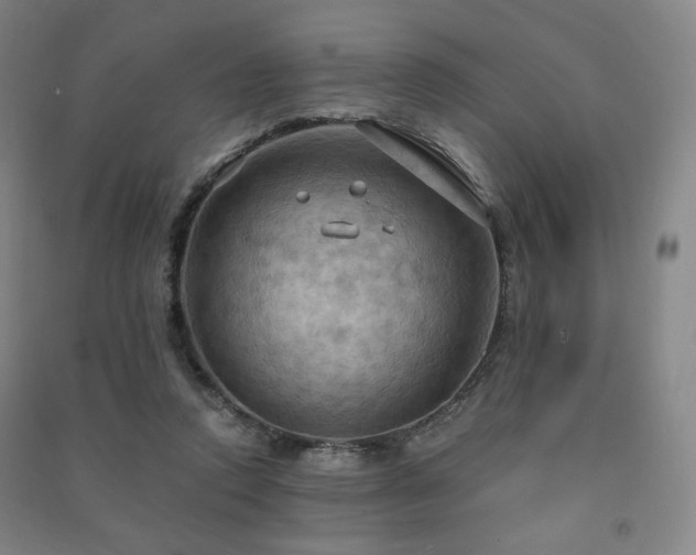 X0000091460354200708161527