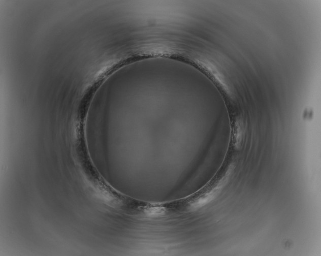 X0000091460355200708161527