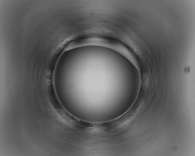 X0000091460356200708161527