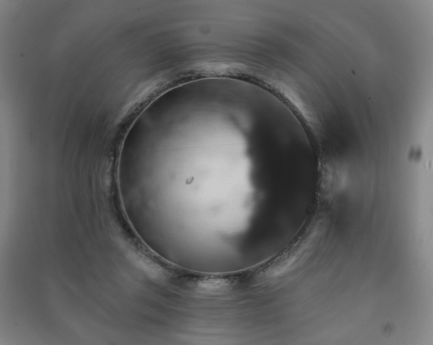 X0000091460357200708161527