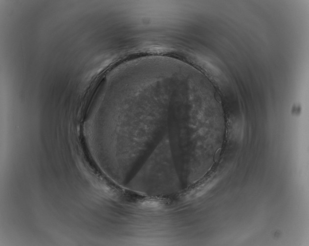 X0000091460358200708161527