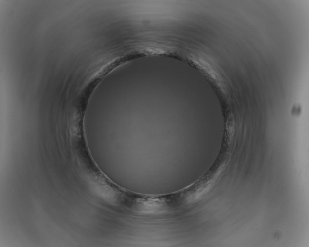 X0000091460359200708161527