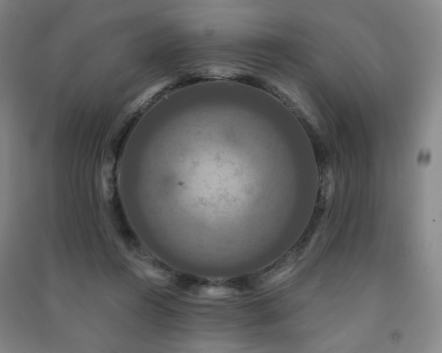 X0000091460360200708161527