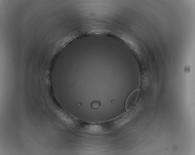 X0000091460361200708161527