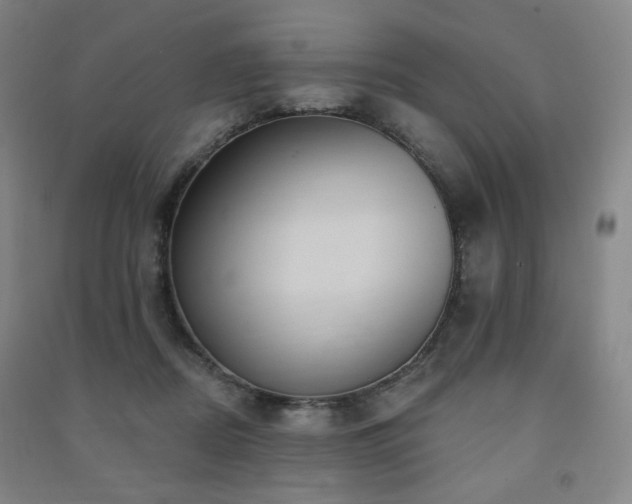 X0000091460362200708161527
