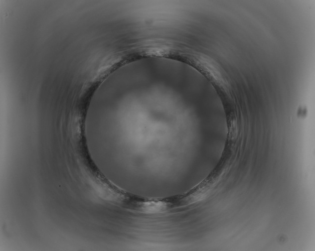 X0000091460363200708161527