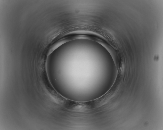 X0000091460364200708161527