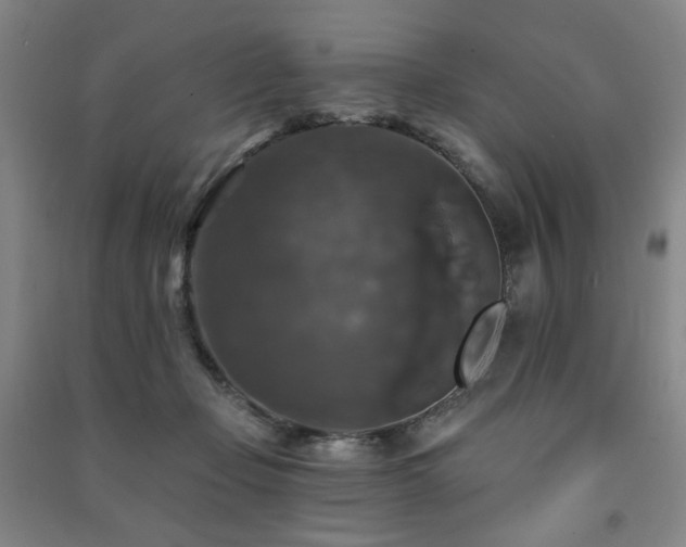 X0000091460365200708161527