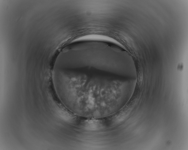 X0000091460367200708161527