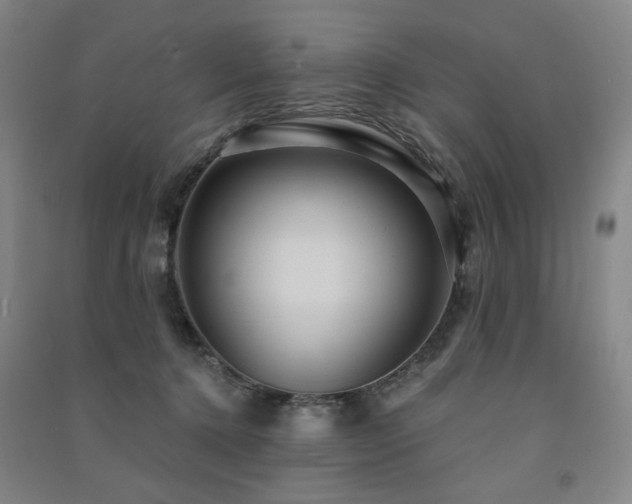 X0000091460368200708161527