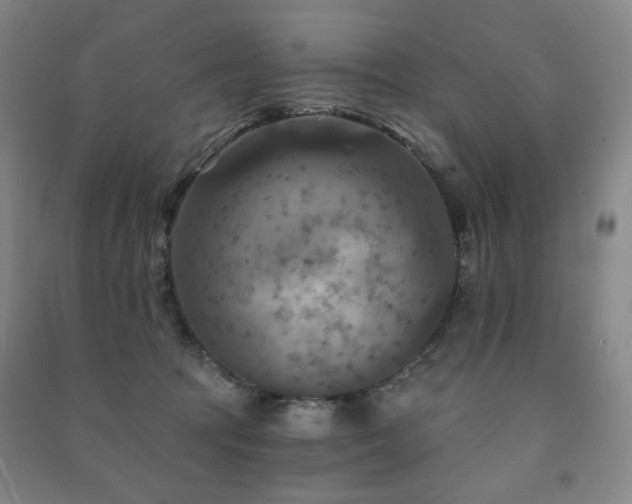 X0000091460369200708161527