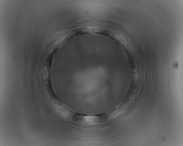 X0000091460371200708161527