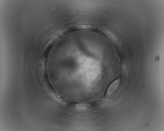 X0000091460373200708161527