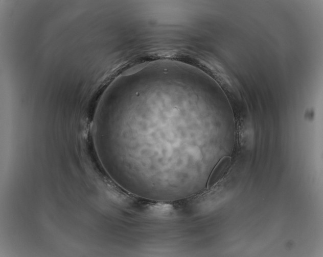 X0000091460374200708161527