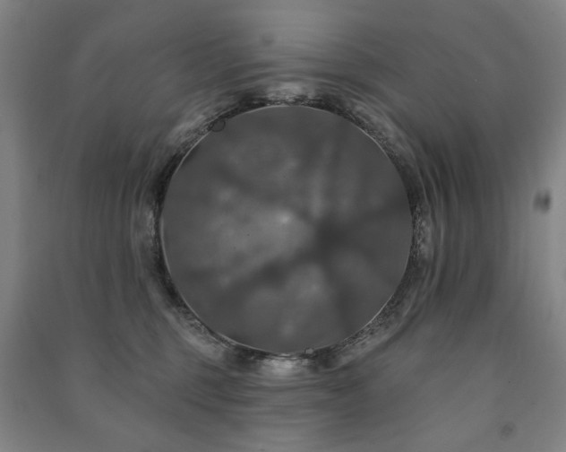 X0000091460375200708161527