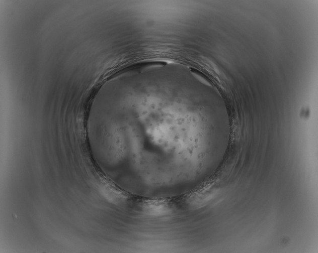 X0000091460377200708161527