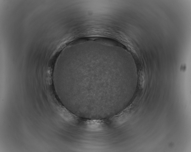 X0000091460378200708161527