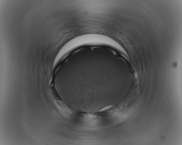 X0000091460380200708161527
