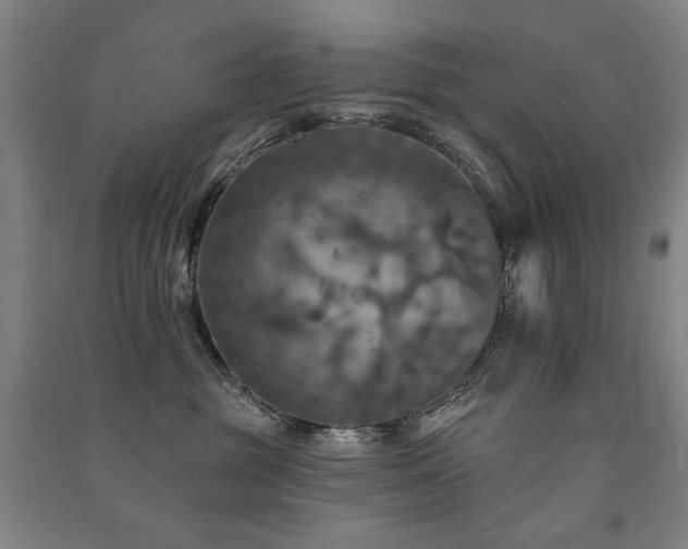 X0000091460381200708161527