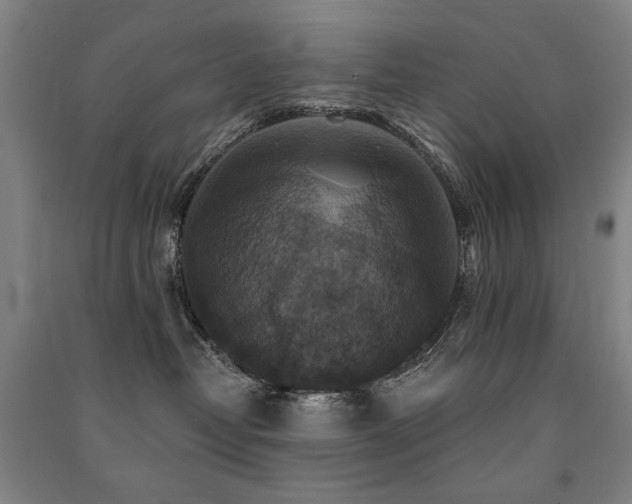 X0000091460382200708161527