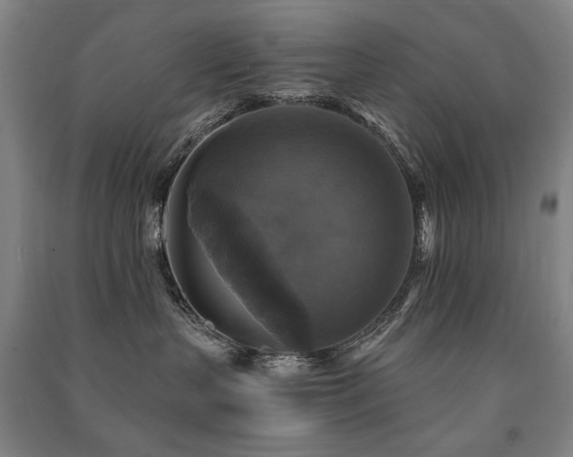 X0000091460383200708161527
