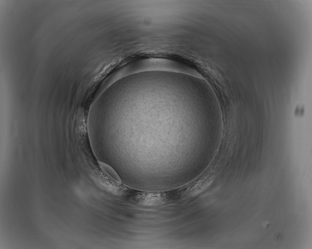 X0000091460384200708161527