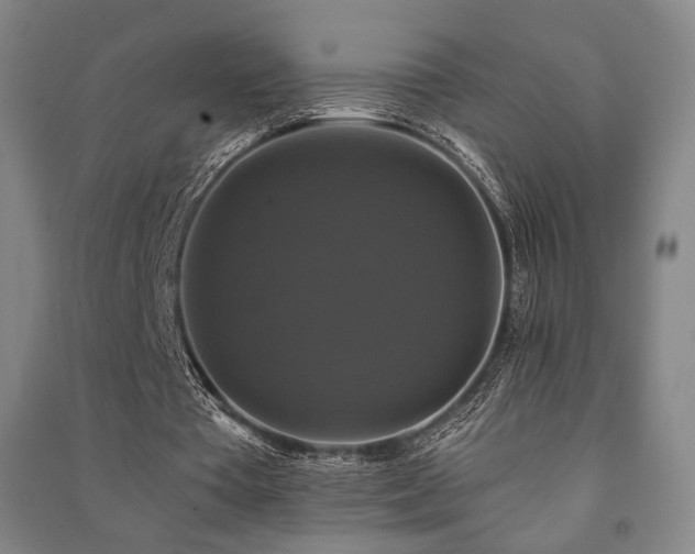 X0000091460385200708161526