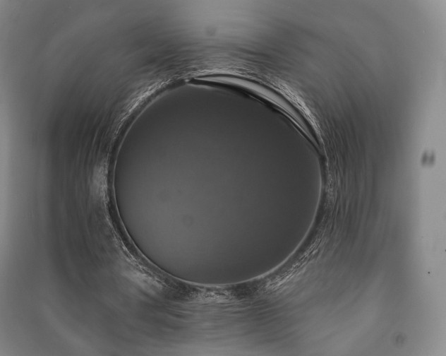 X0000091460386200708161526