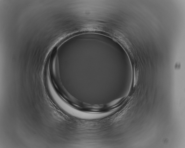 X0000091460387200708161526