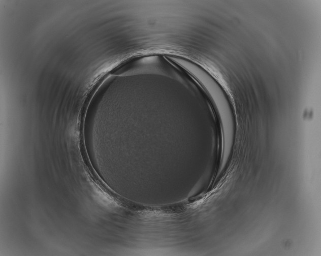 X0000091460389200708161526