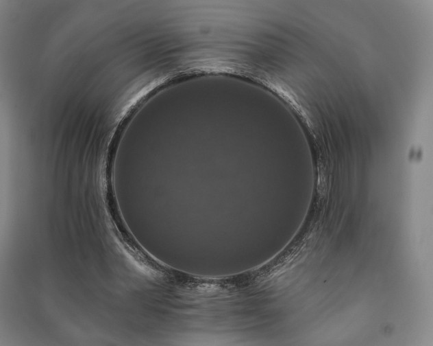 X0000091460390200708161526