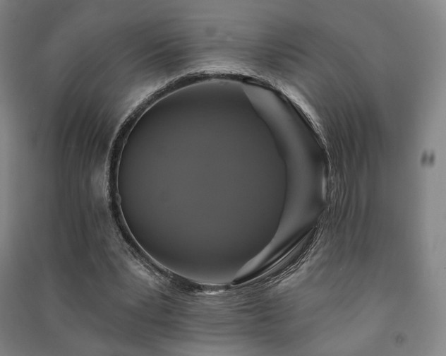 X0000091460391200708161526