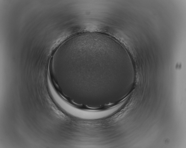 X0000091460393200708161526