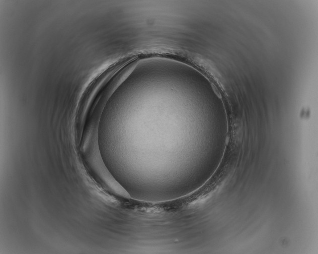 X0000091460395200708161526